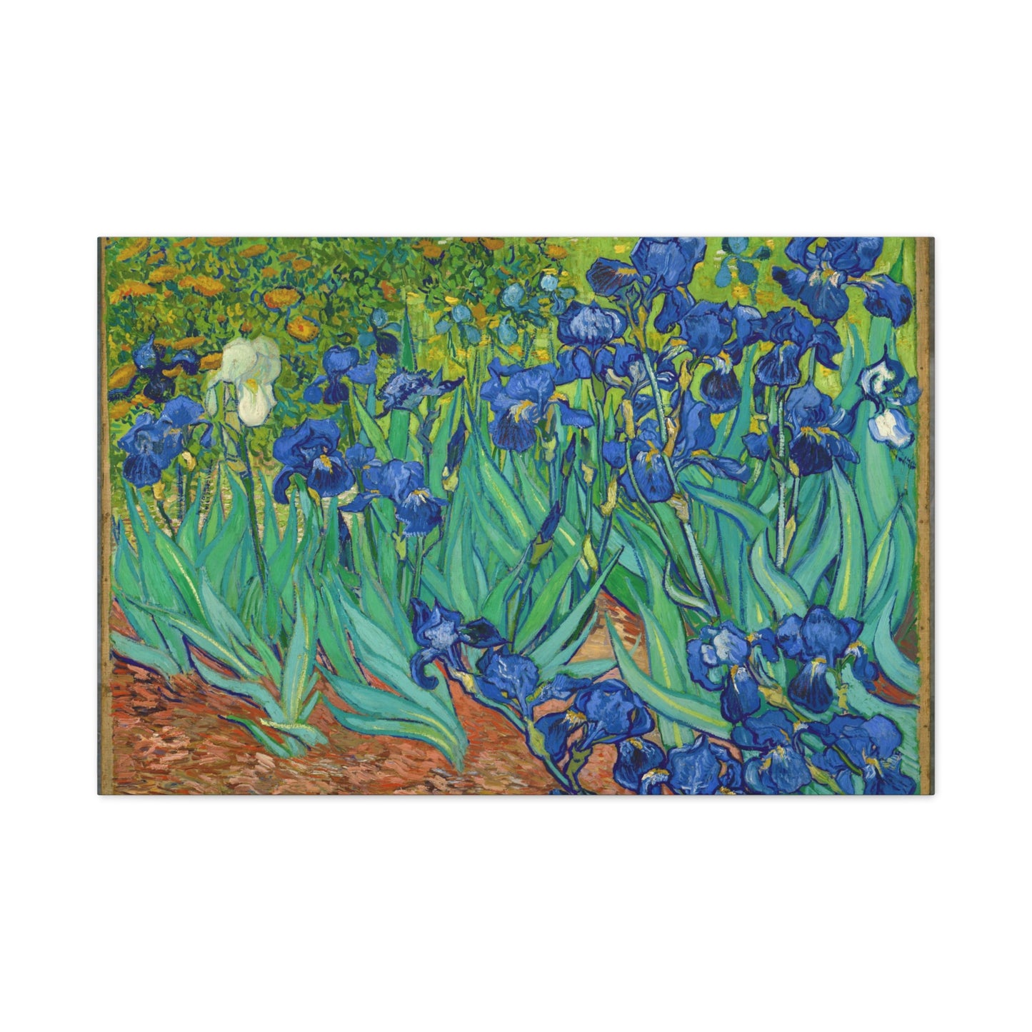 Irises By Vincent van Gogh