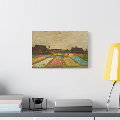 Bulb Fields By Vincent van Gogh