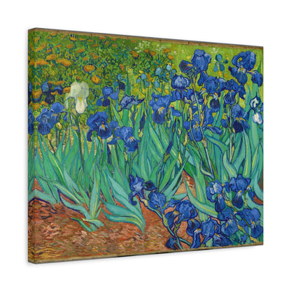 Irises By Vincent van Gogh