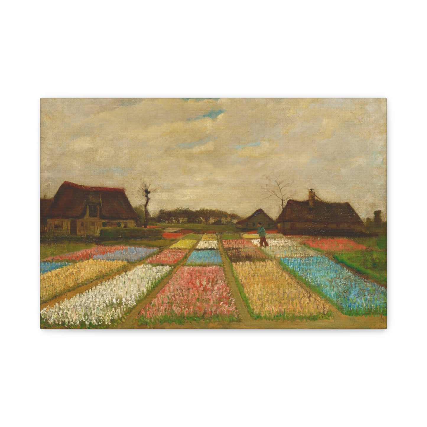 Bulb Fields By Vincent van Gogh