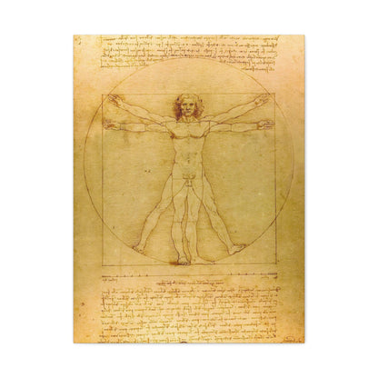 Vitruvian Man By Leonardo da Vinci