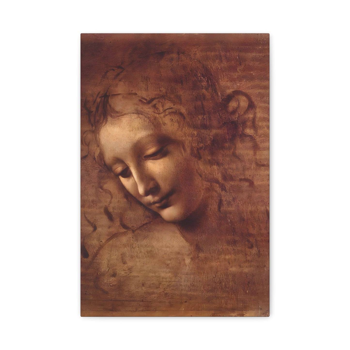 Head of a Woman By Leonardo da Vinci