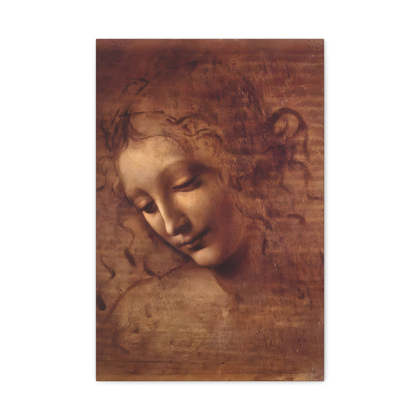 Head of a Woman By Leonardo da Vinci