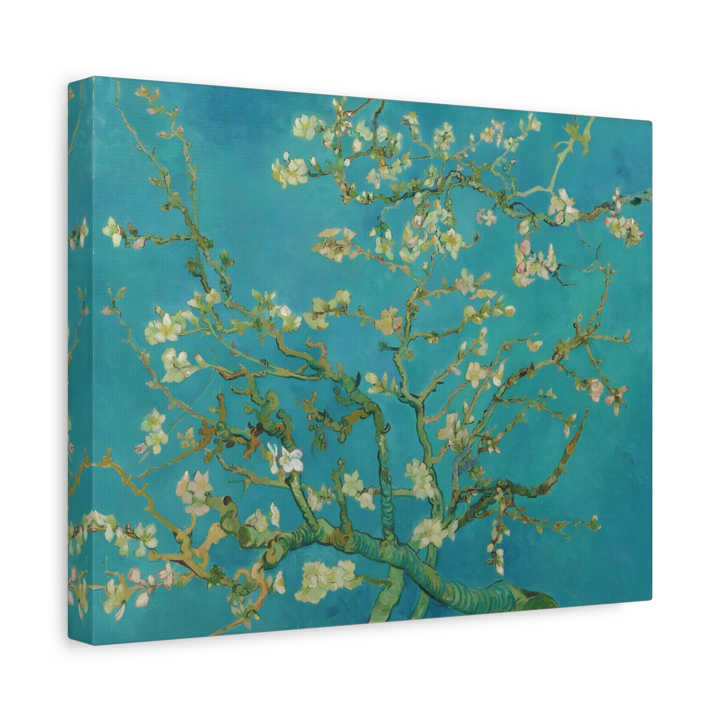 Almond Blossoms By Vincent van Gogh