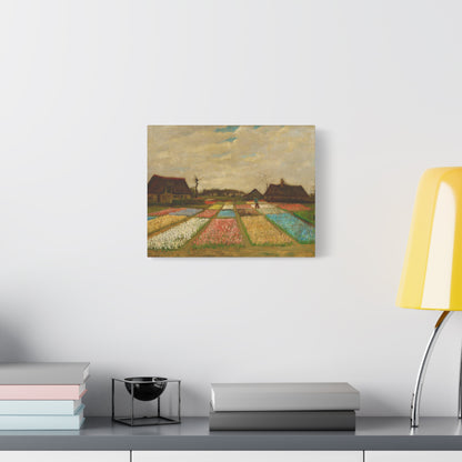 Bulb Fields By Vincent van Gogh