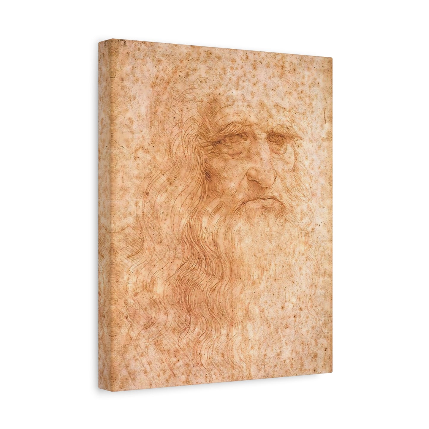 Man in Red Chalk By Leonardo da Vinci