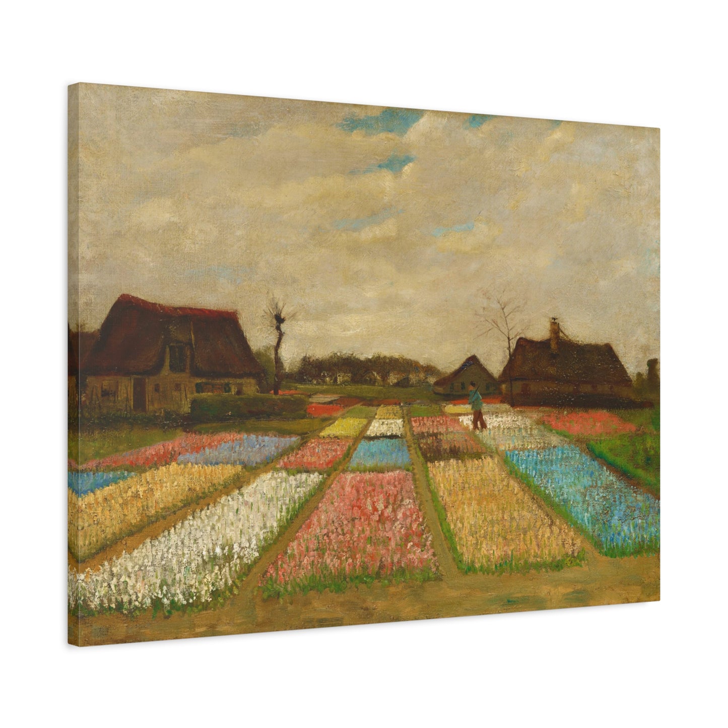 Bulb Fields By Vincent van Gogh