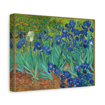 Irises By Vincent van Gogh