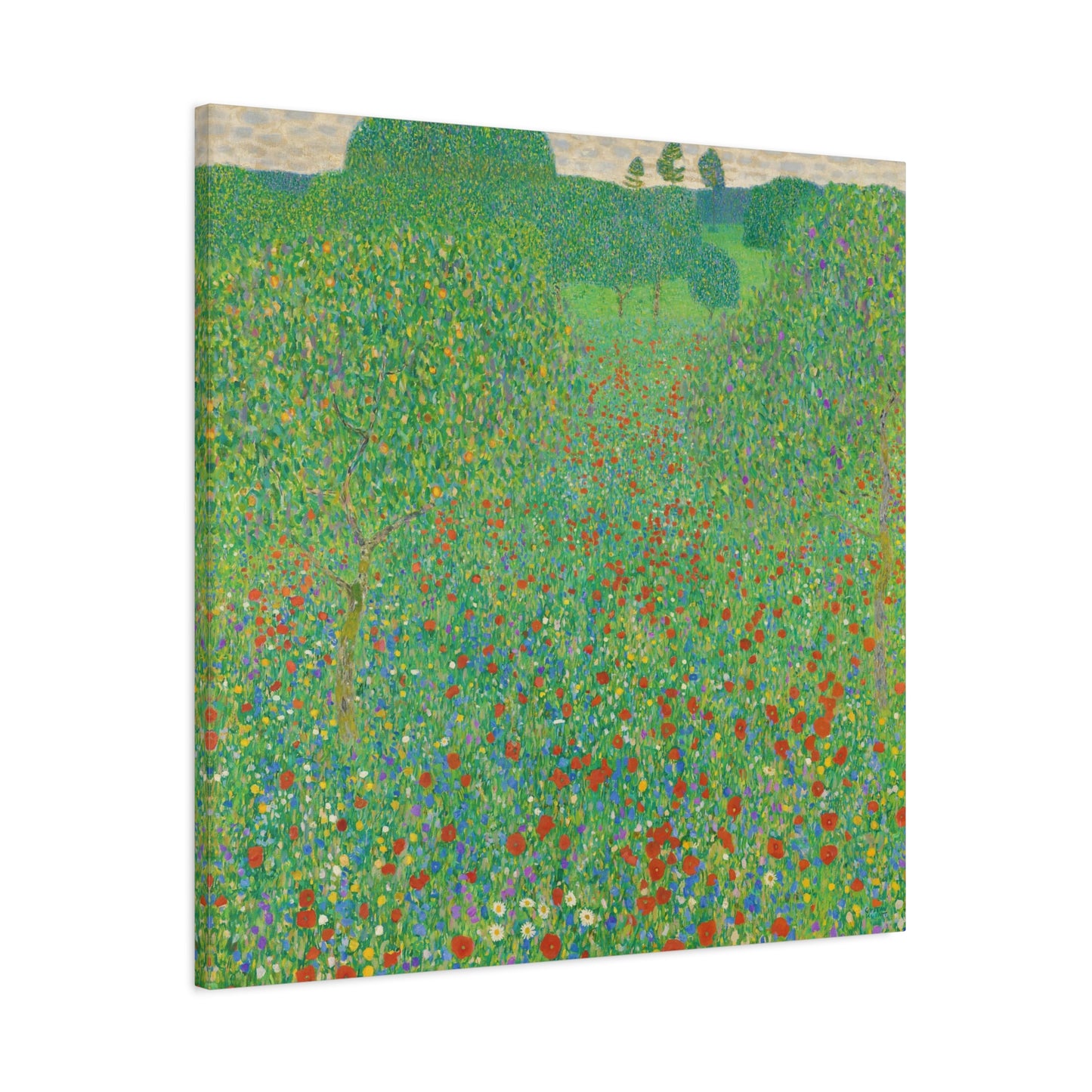 Poppy Field By Gustav Klimt