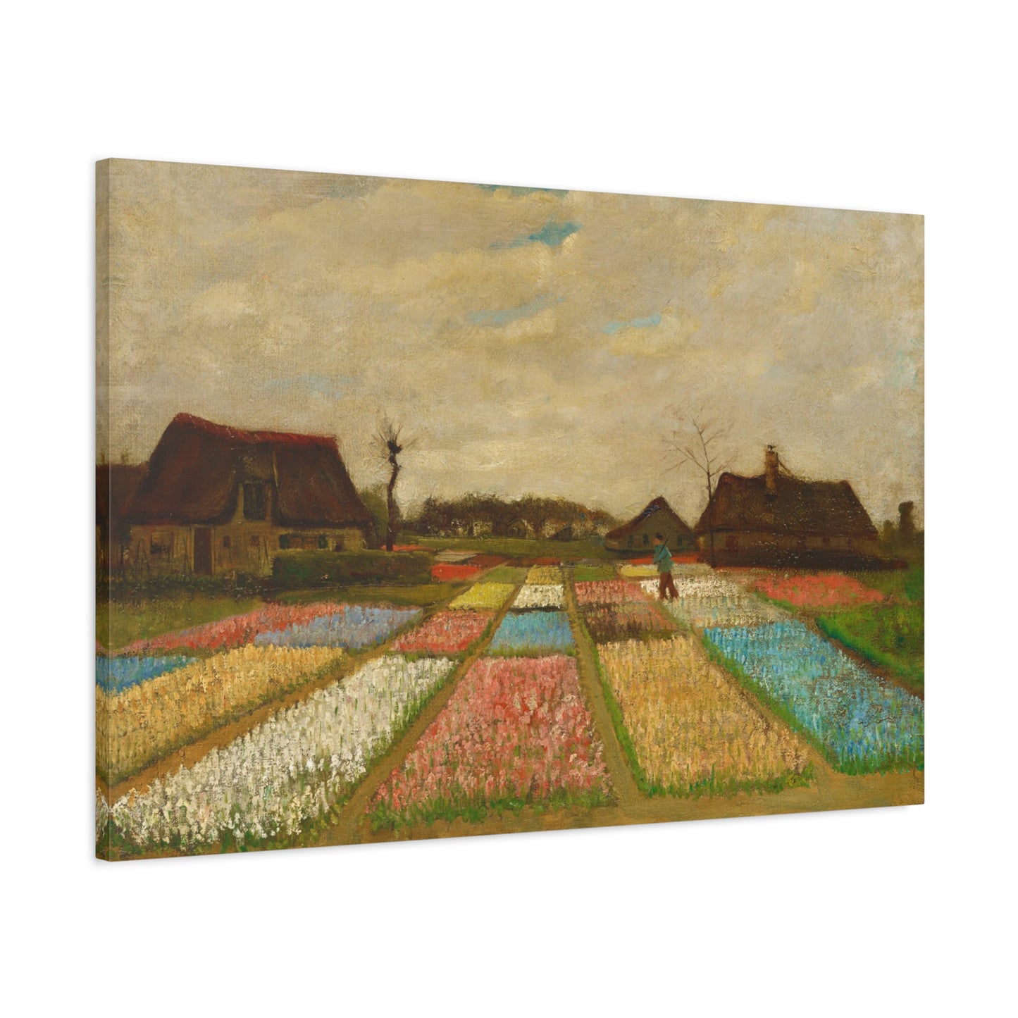 Bulb Fields By Vincent van Gogh