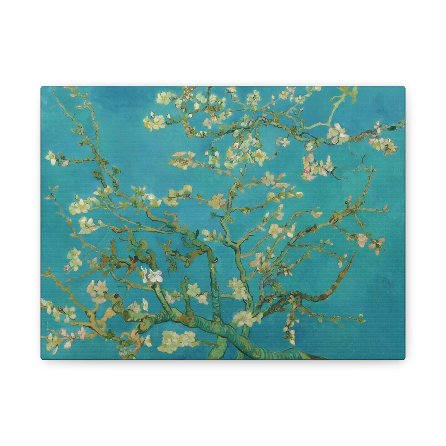 Almond Blossoms By Vincent van Gogh