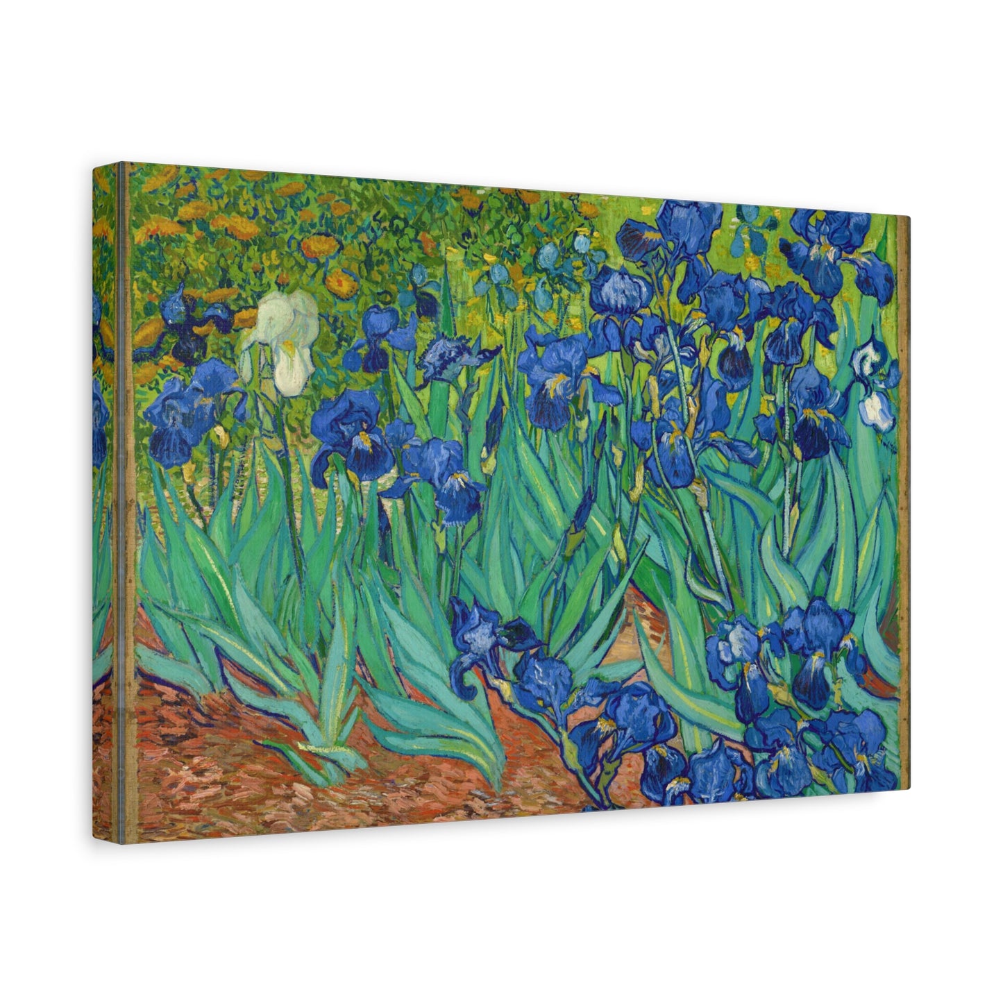 Irises By Vincent van Gogh