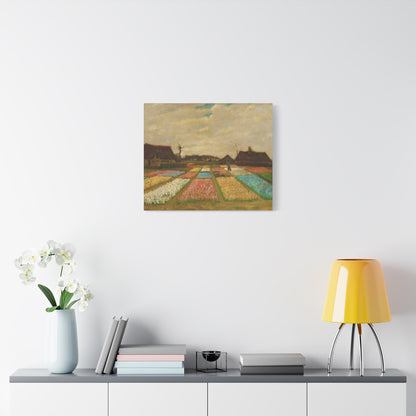 Bulb Fields By Vincent van Gogh