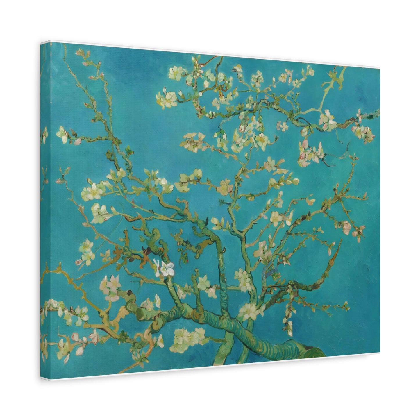 Almond Blossoms By Vincent van Gogh