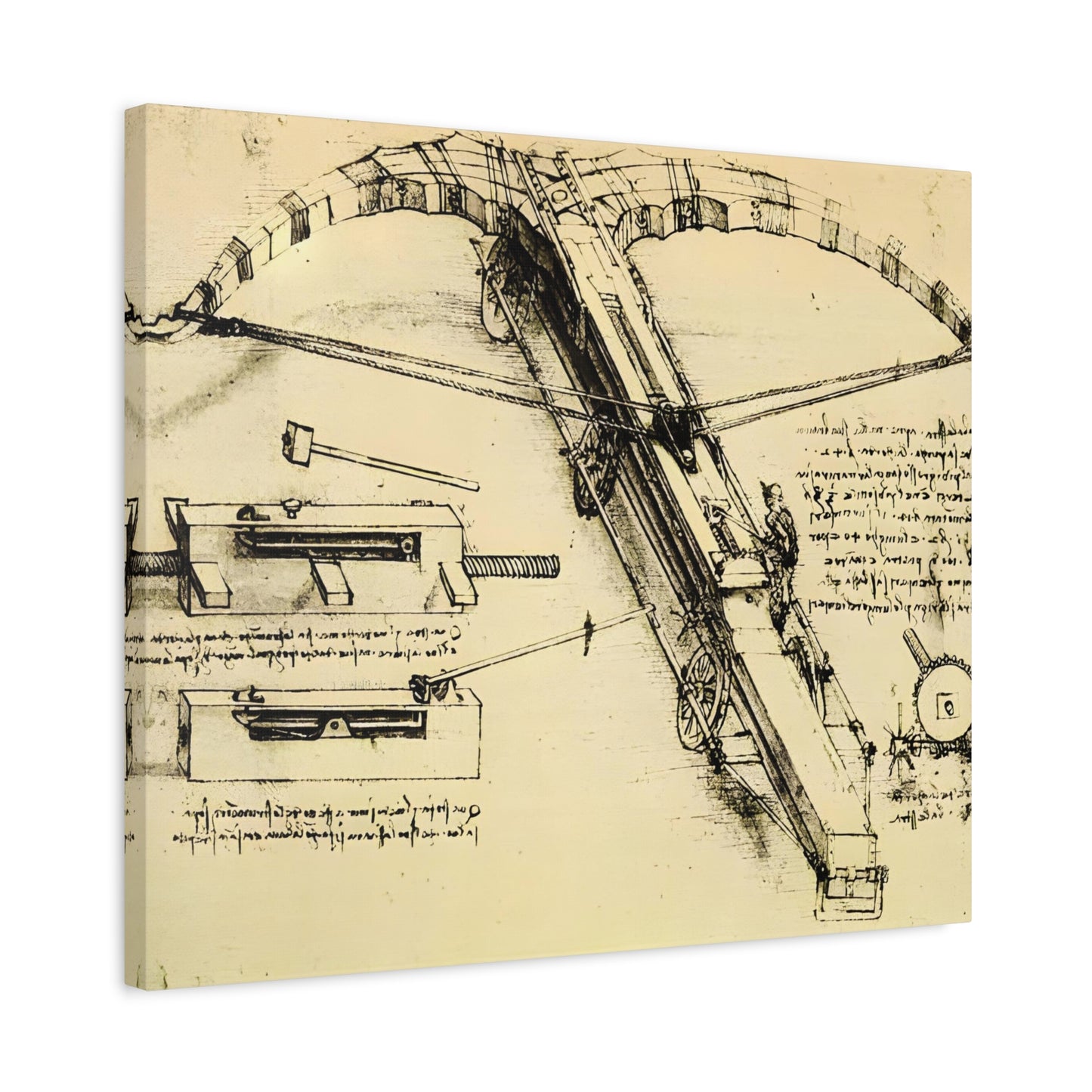 Design for a Giant Crossbow By Leonardo da Vinci