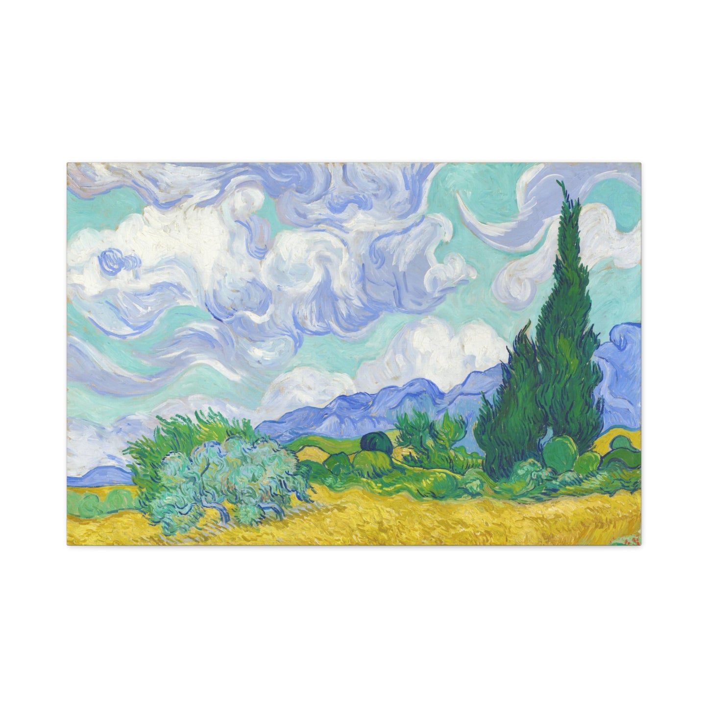 Cypresses By Vincent van Gogh