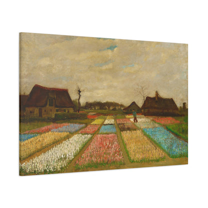 Bulb Fields By Vincent van Gogh