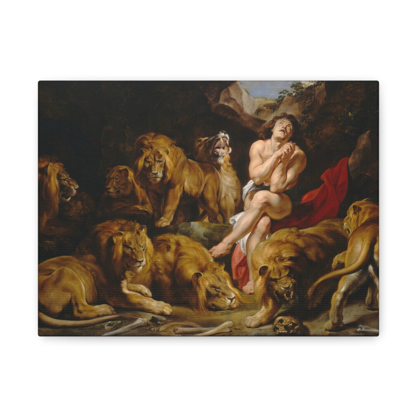 Daniel in the Lions' Den By Peter Paul Rubens