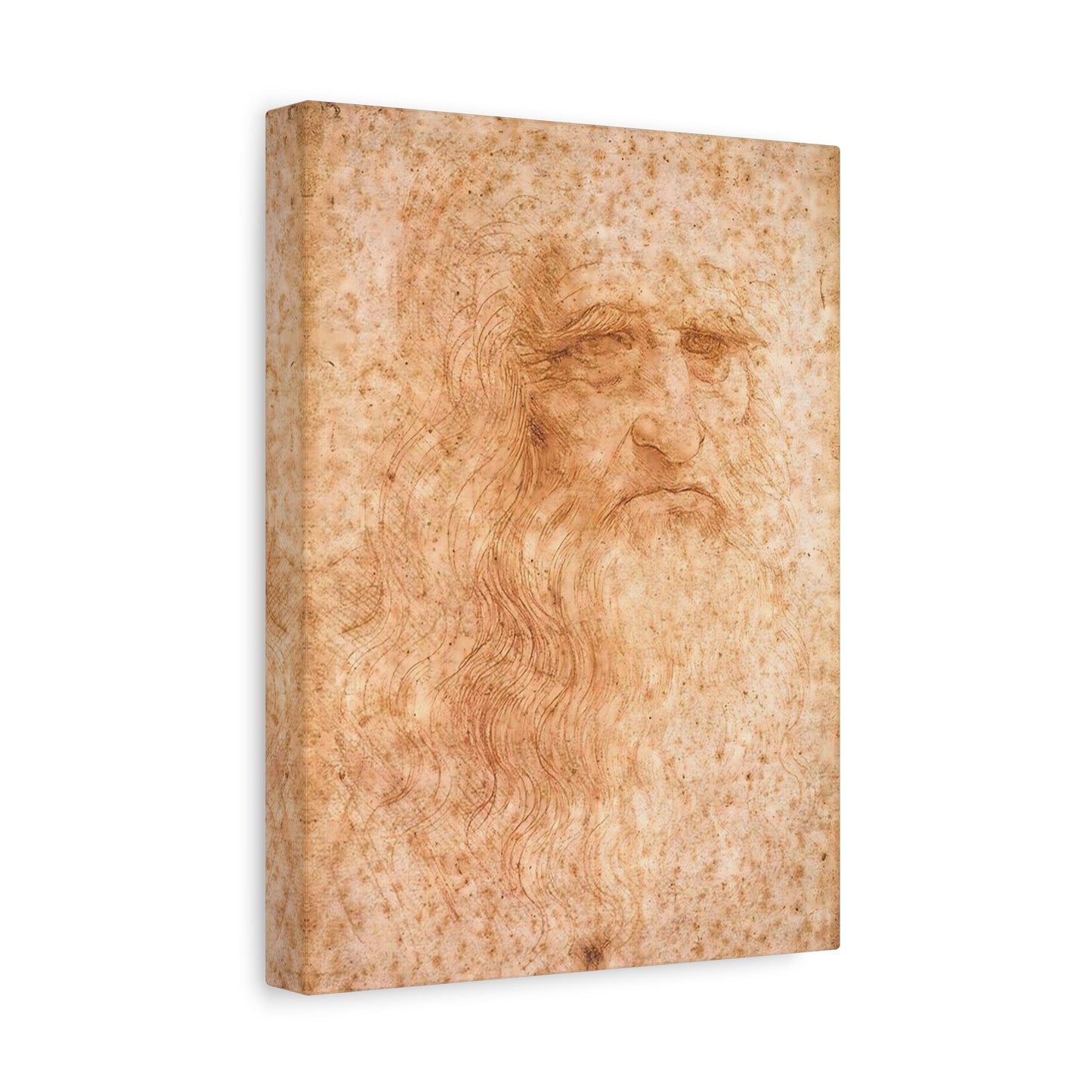 Man in Red Chalk By Leonardo da Vinci