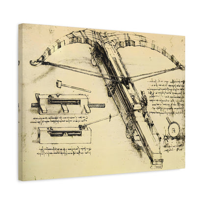 Design for a Giant Crossbow By Leonardo da Vinci