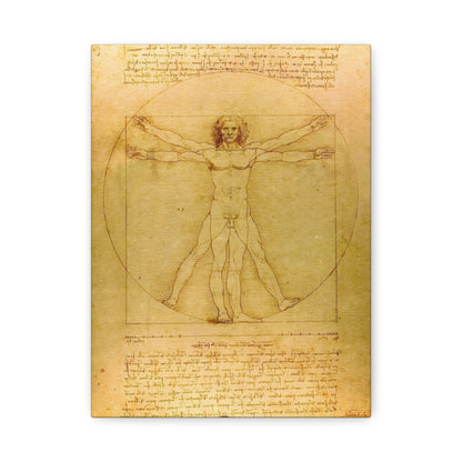 Vitruvian Man By Leonardo da Vinci