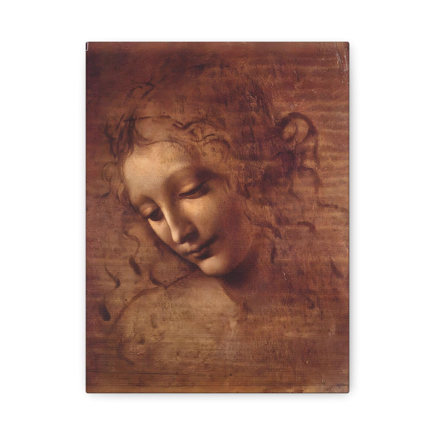 Head of a Woman By Leonardo da Vinci