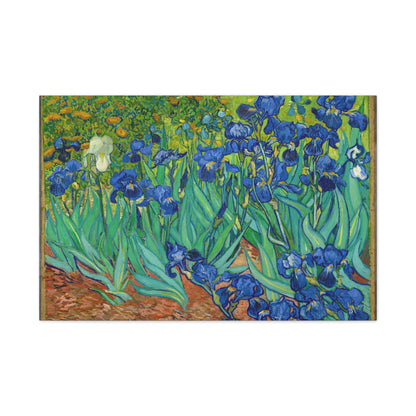 Irises By Vincent van Gogh