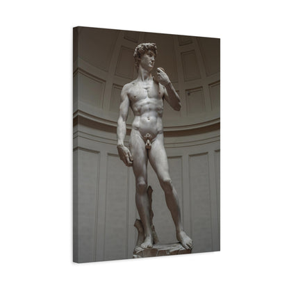 David By Michelangelo