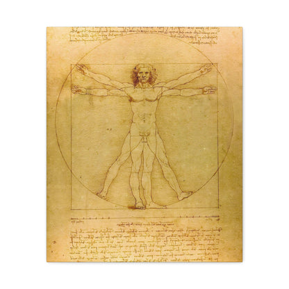 Vitruvian Man By Leonardo da Vinci