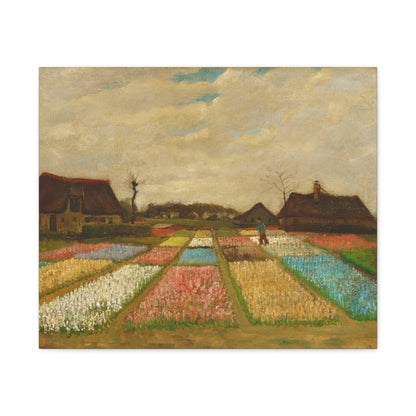 Bulb Fields By Vincent van Gogh