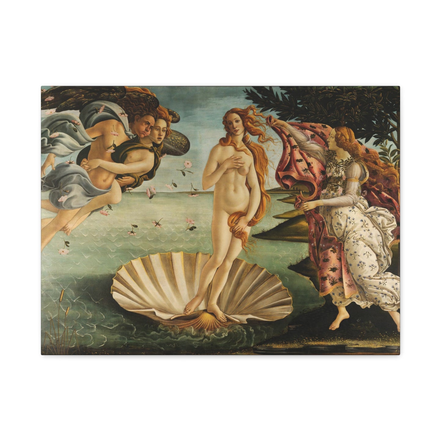 The Birth of Venus By Sandro Botticelli