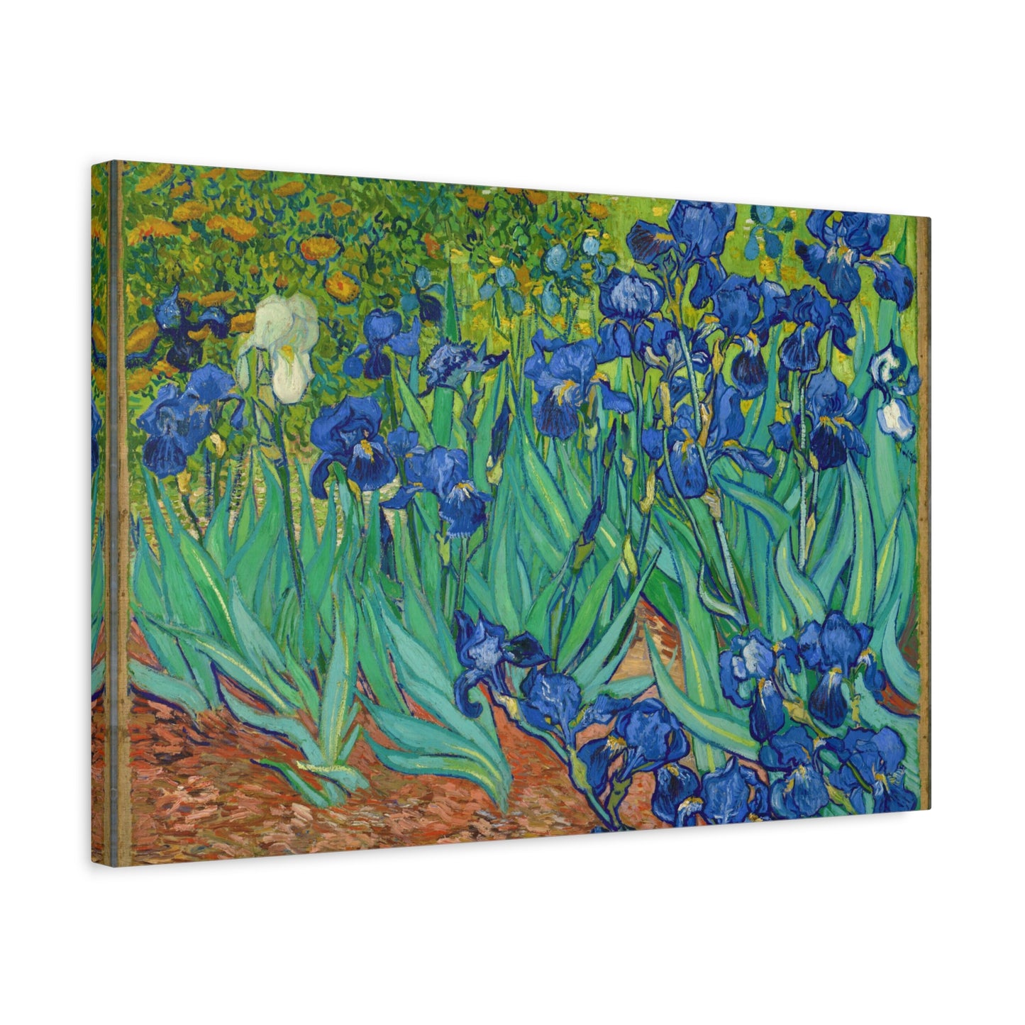 Irises By Vincent van Gogh