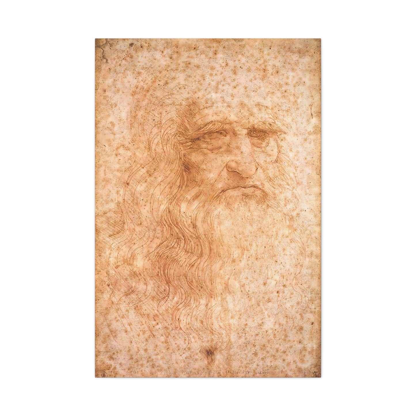 Man in Red Chalk By Leonardo da Vinci