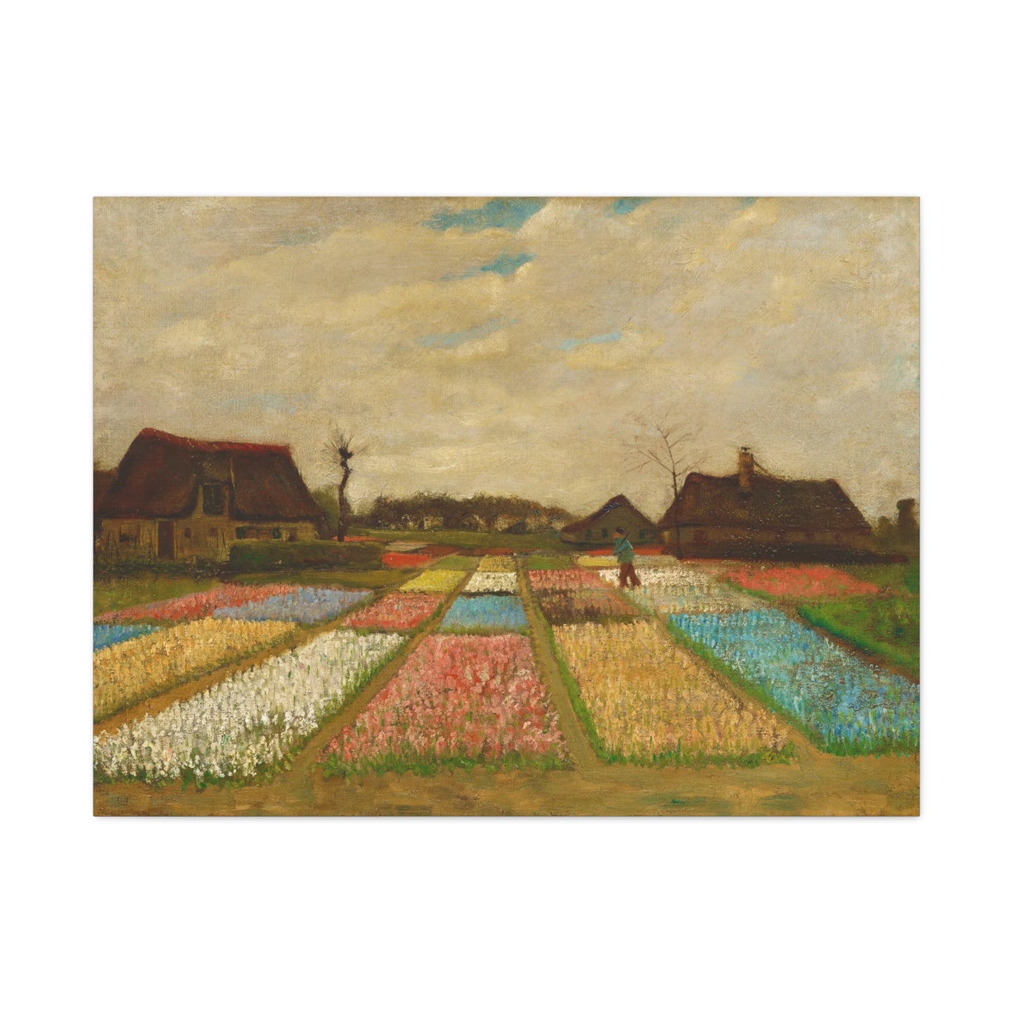 Bulb Fields By Vincent van Gogh