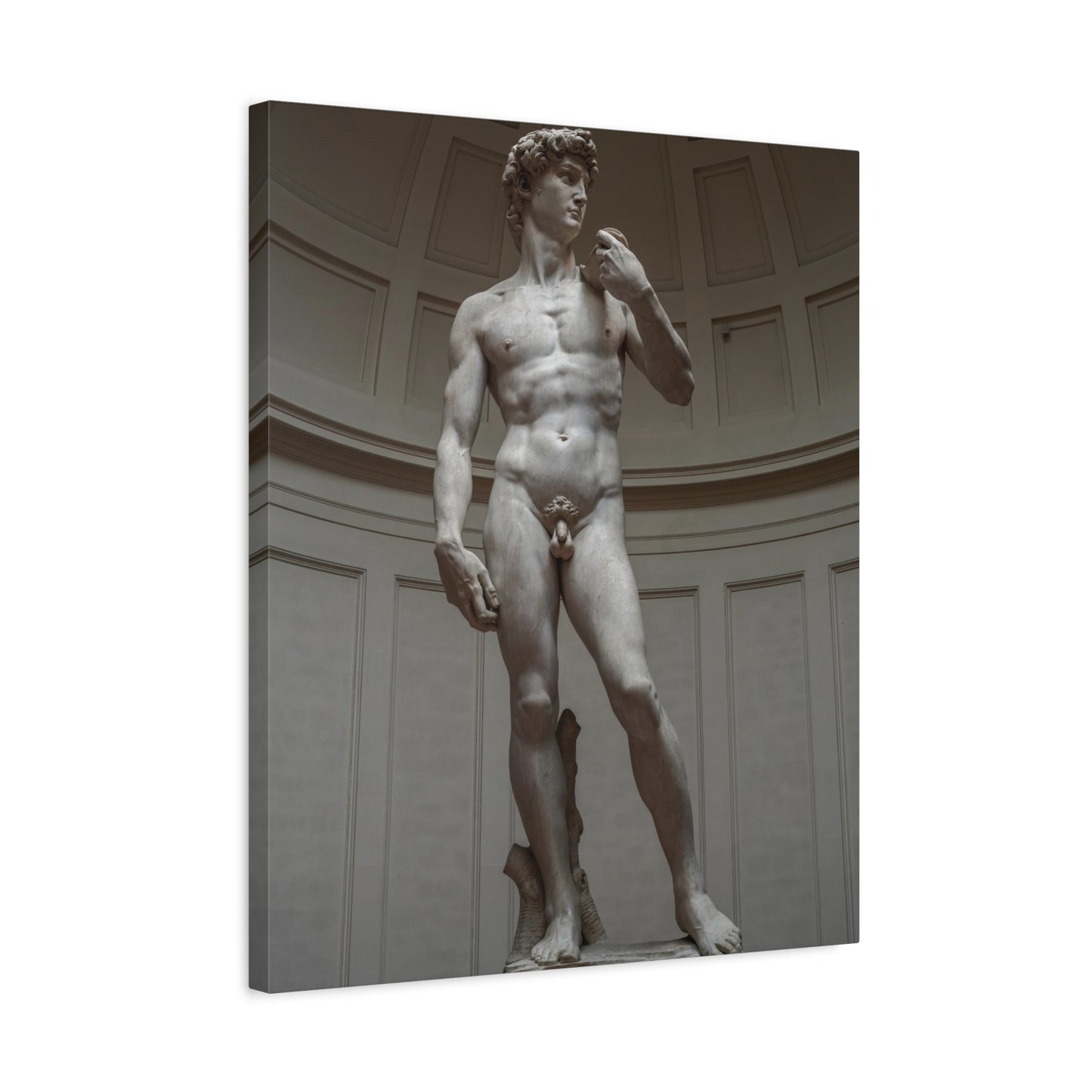 David By Michelangelo