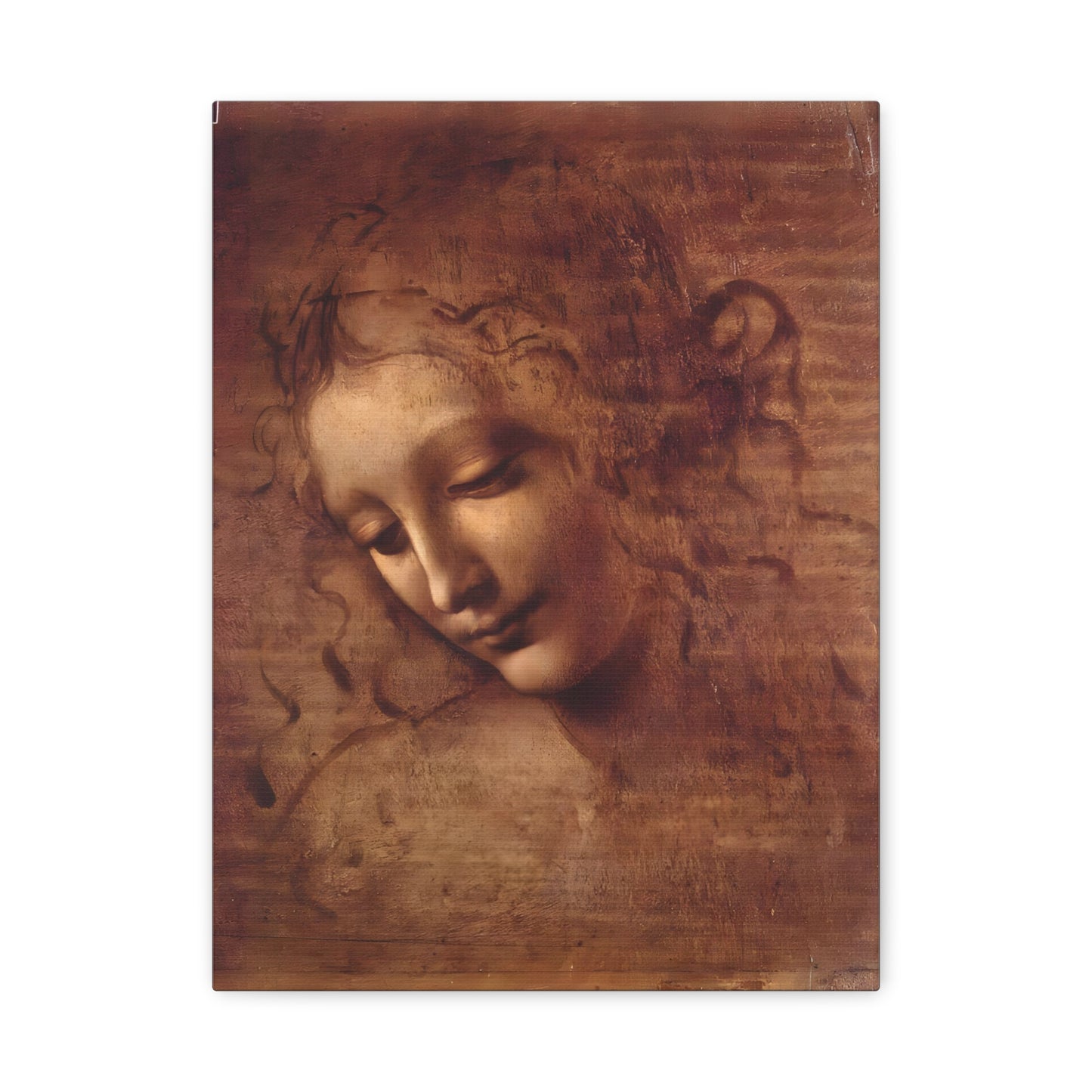 Head of a Woman By Leonardo da Vinci