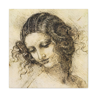 Study for the Head of Leda By Leonardo da Vinci