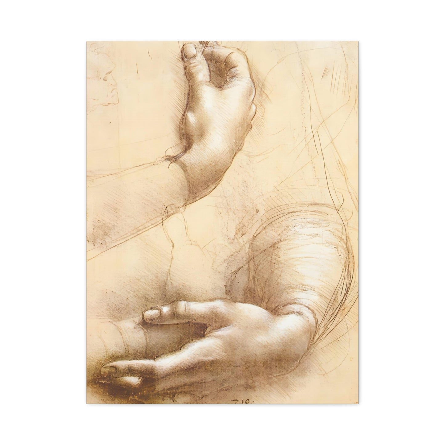 Study of Hands By Leonardo da Vinci