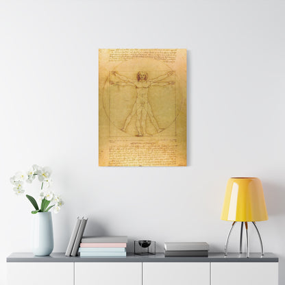 Vitruvian Man By Leonardo da Vinci