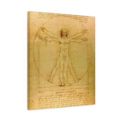 Vitruvian Man By Leonardo da Vinci