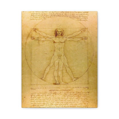 Vitruvian Man By Leonardo da Vinci