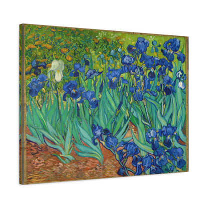 Irises By Vincent van Gogh