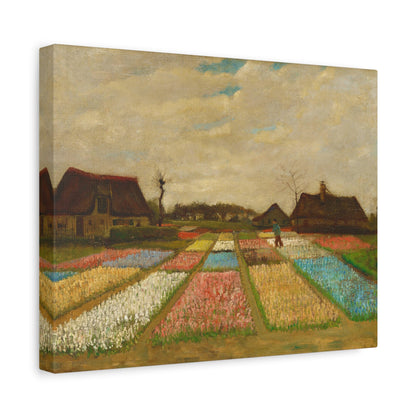 Bulb Fields By Vincent van Gogh