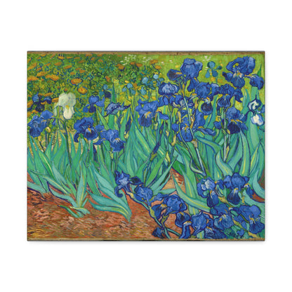 Irises By Vincent van Gogh