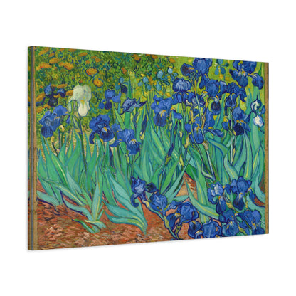 Irises By Vincent van Gogh