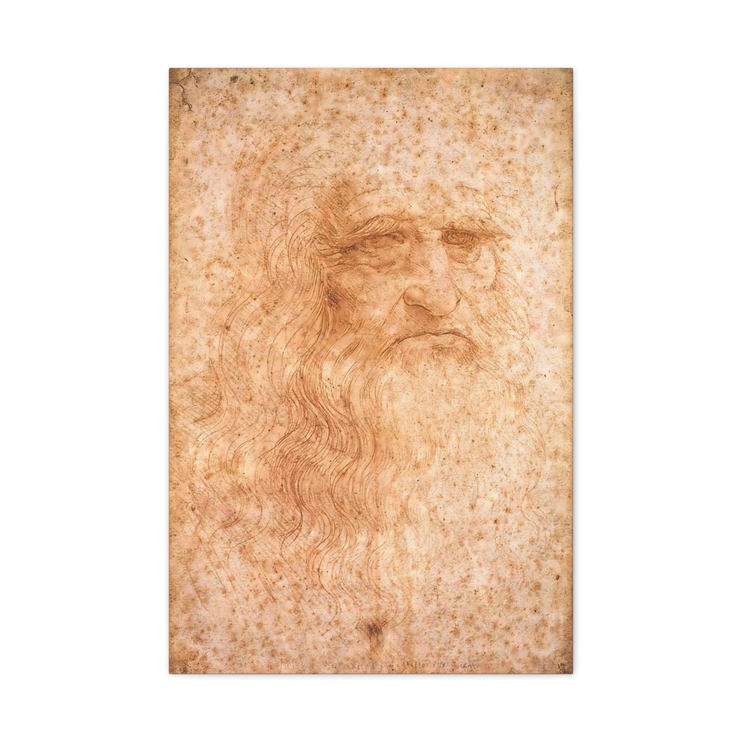 Man in Red Chalk By Leonardo da Vinci