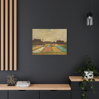 Bulb Fields By Vincent van Gogh