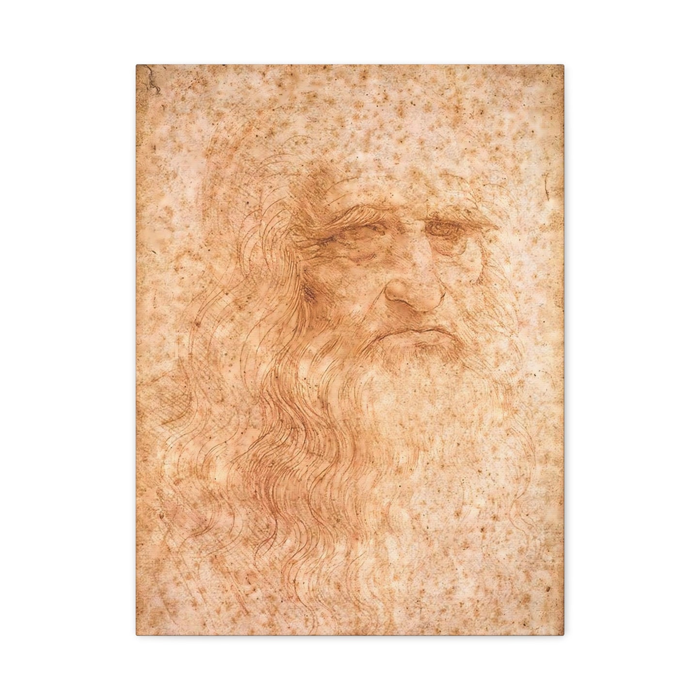 Man in Red Chalk By Leonardo da Vinci