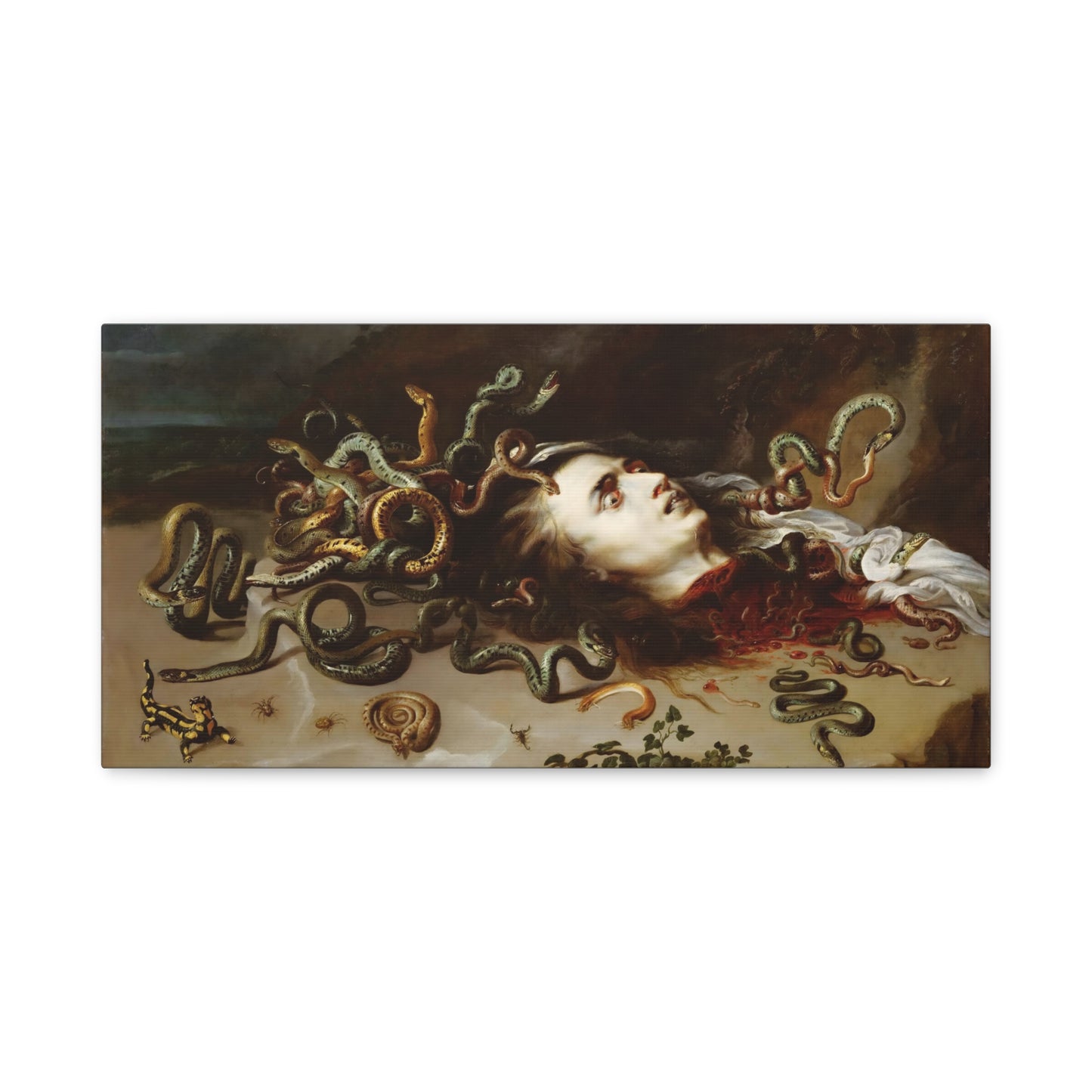 Medusa By Peter Paul Rubens