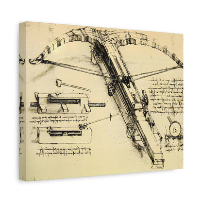 Design for a Giant Crossbow By Leonardo da Vinci